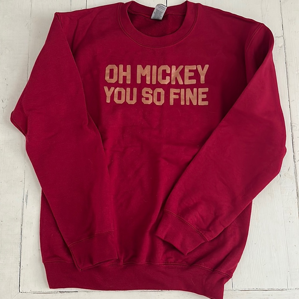 Sweatshirt bought for Disney and didn’t wear